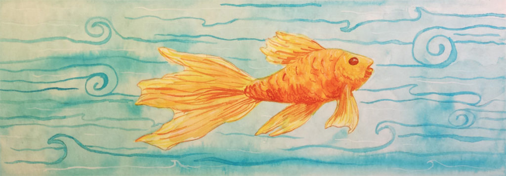 Goldfish (Day 20)