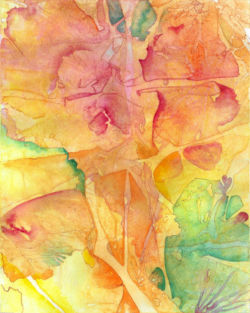Flower Garden