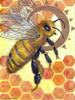 Honey Bee (TAE21)